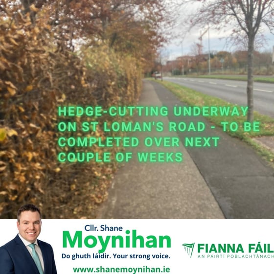 257629265_10159405571001273_5338729465477735193_n